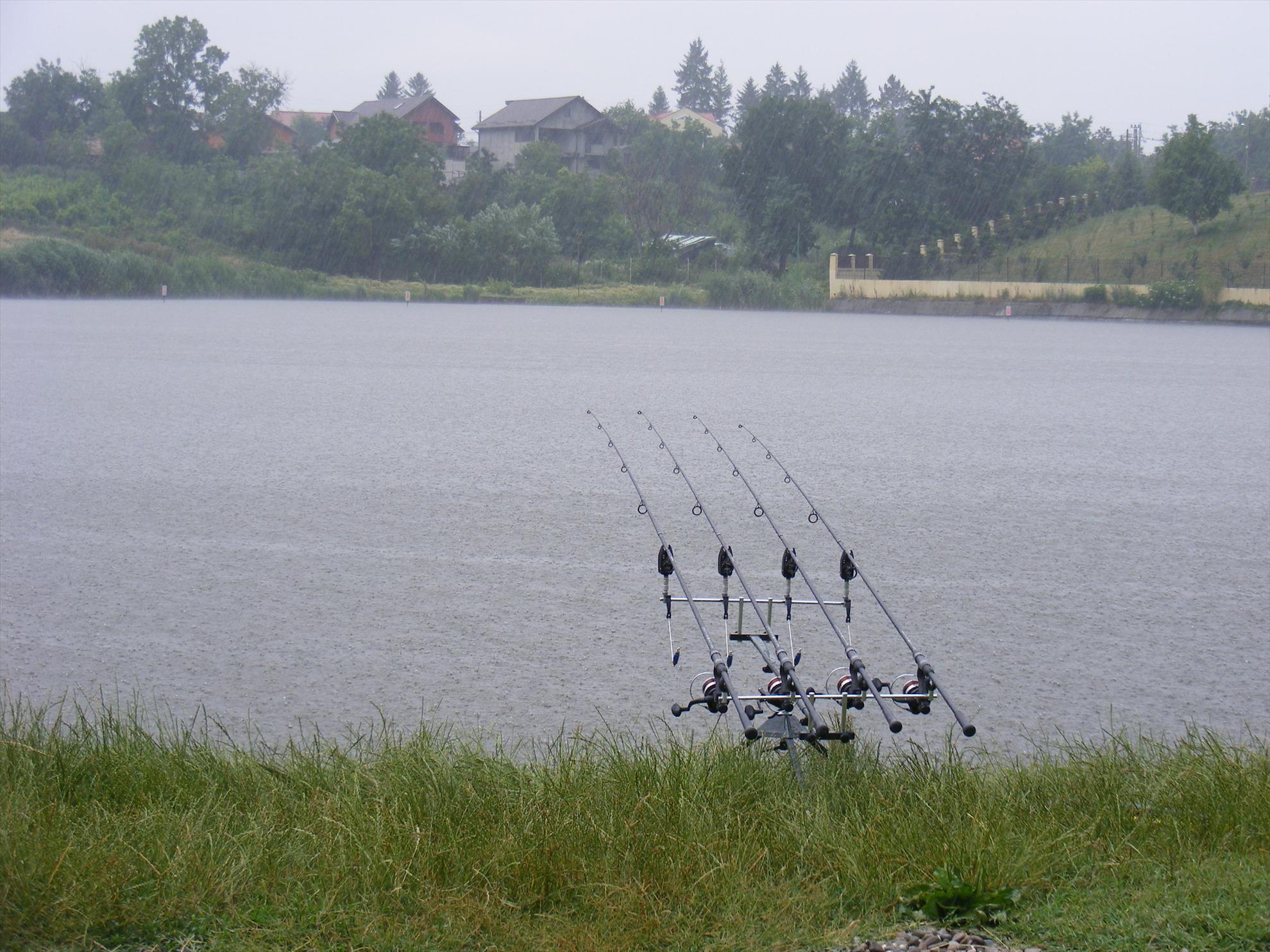 Moara Vlasiei-Dream place! - dscf1827.JPG